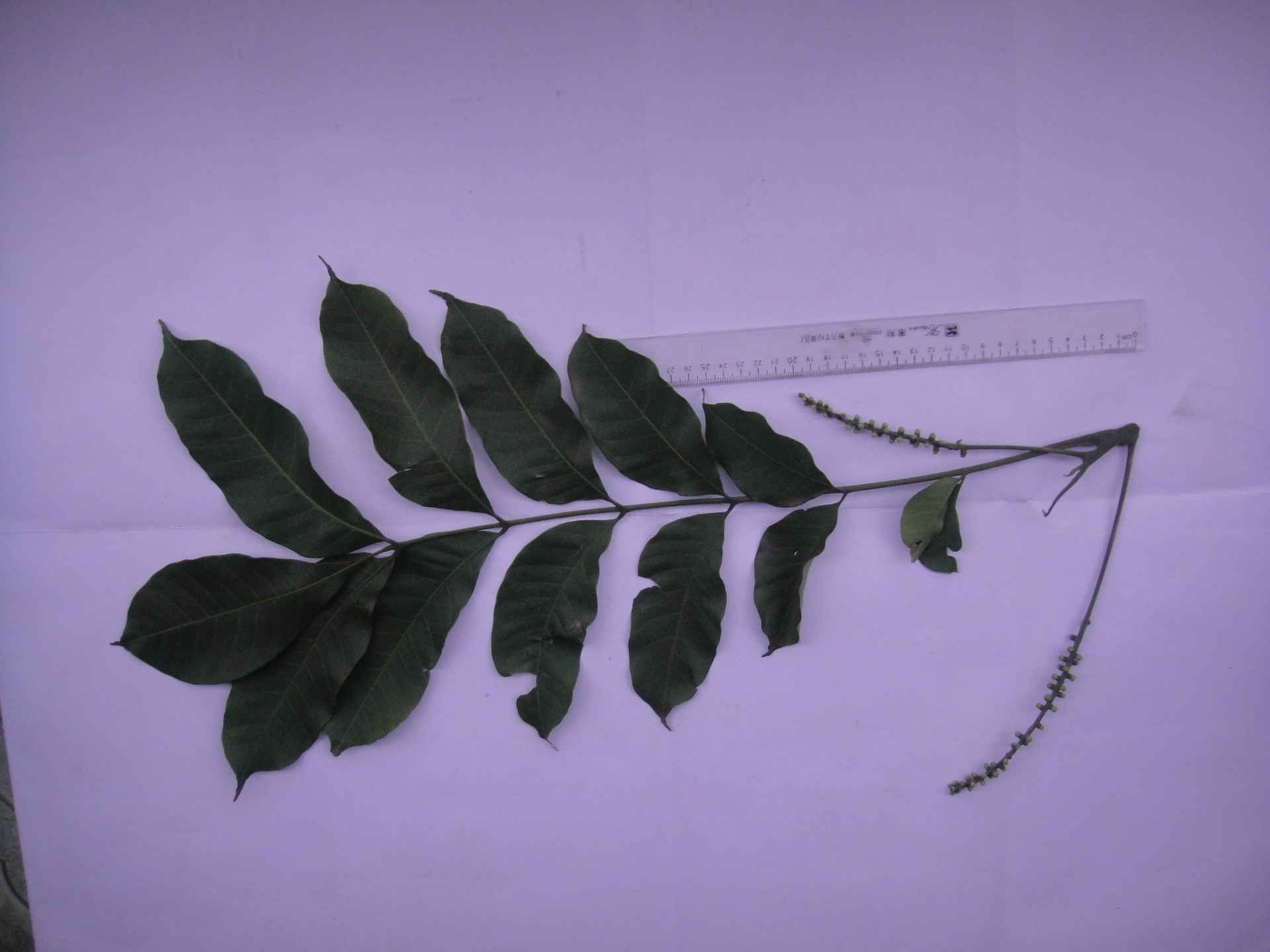 Banner Images