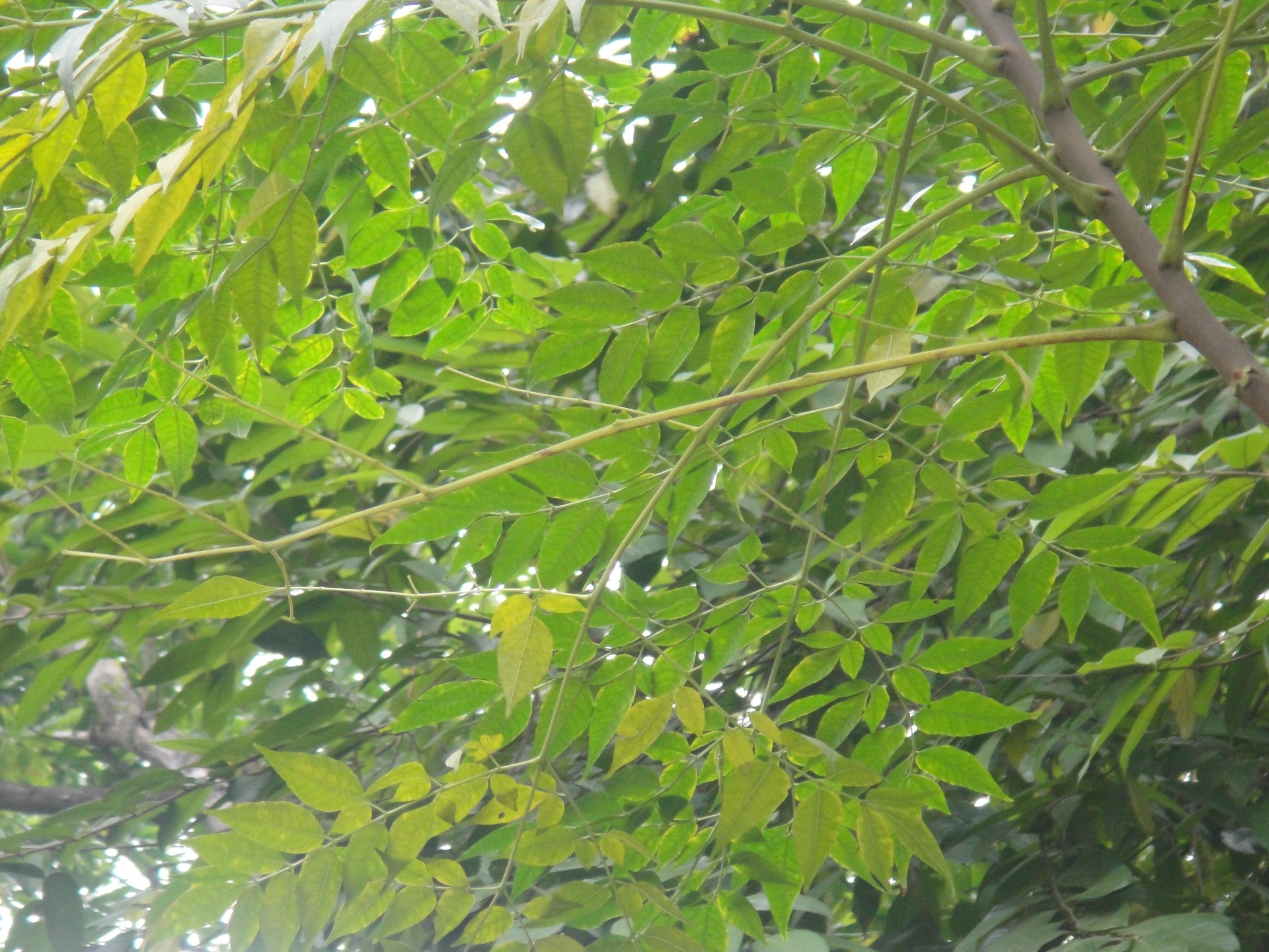 Banner Images