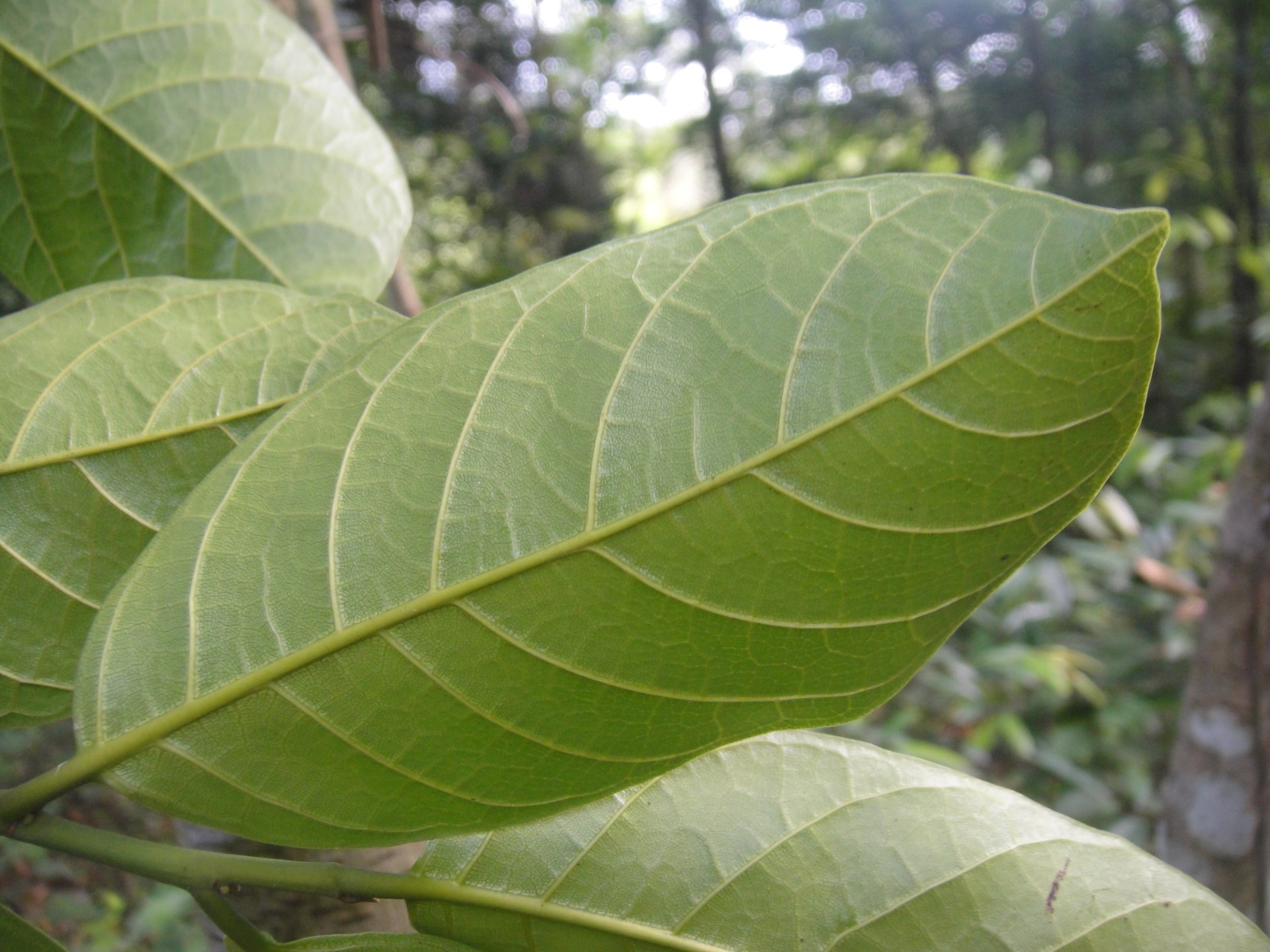 Banner Images