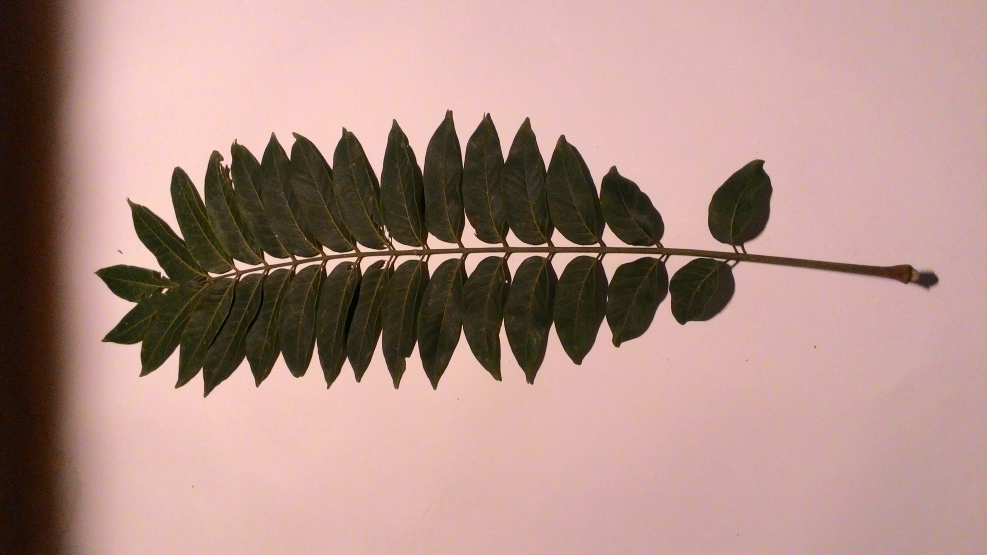 Banner Images
