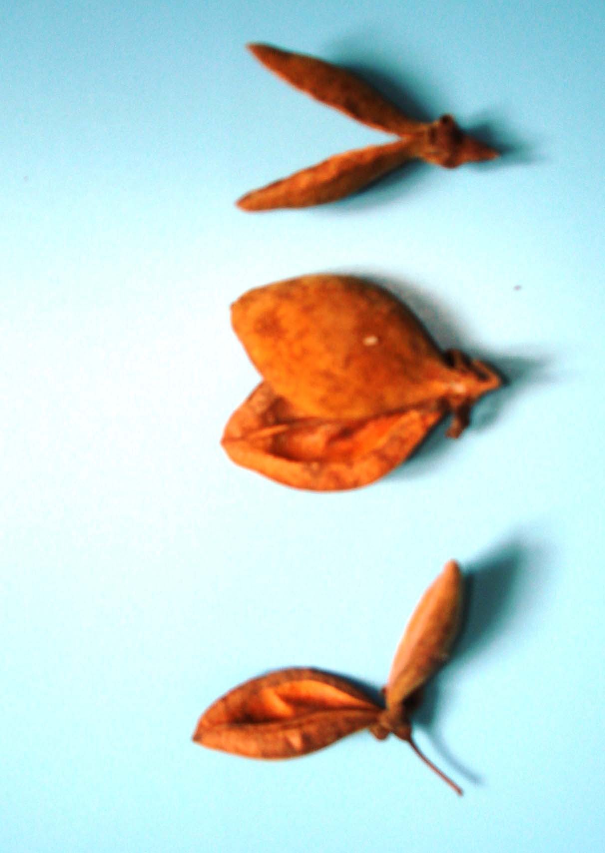 Banner Images