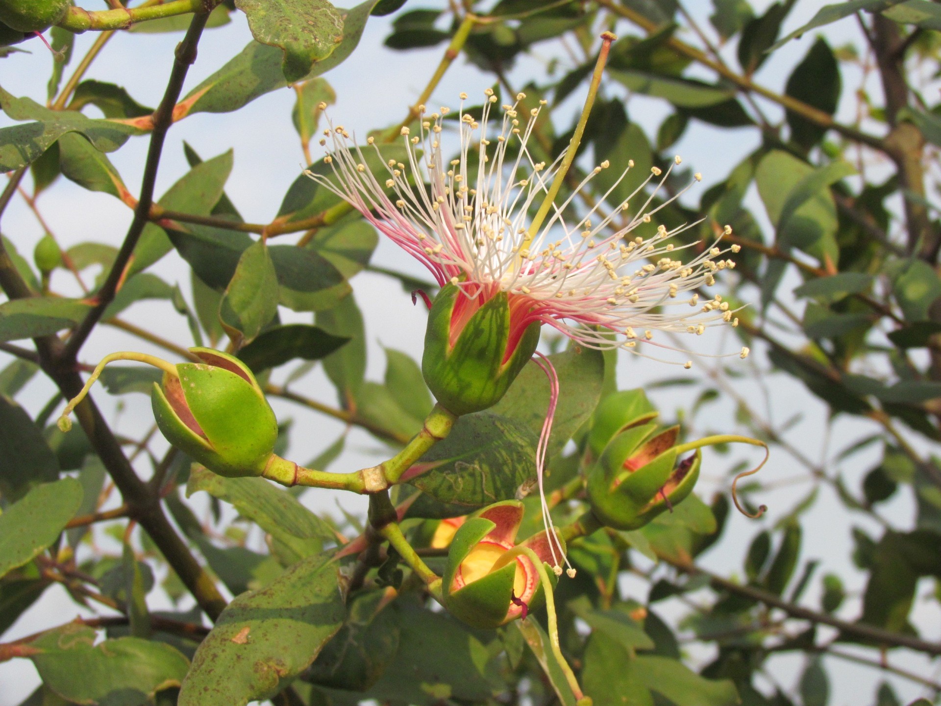 Banner Images