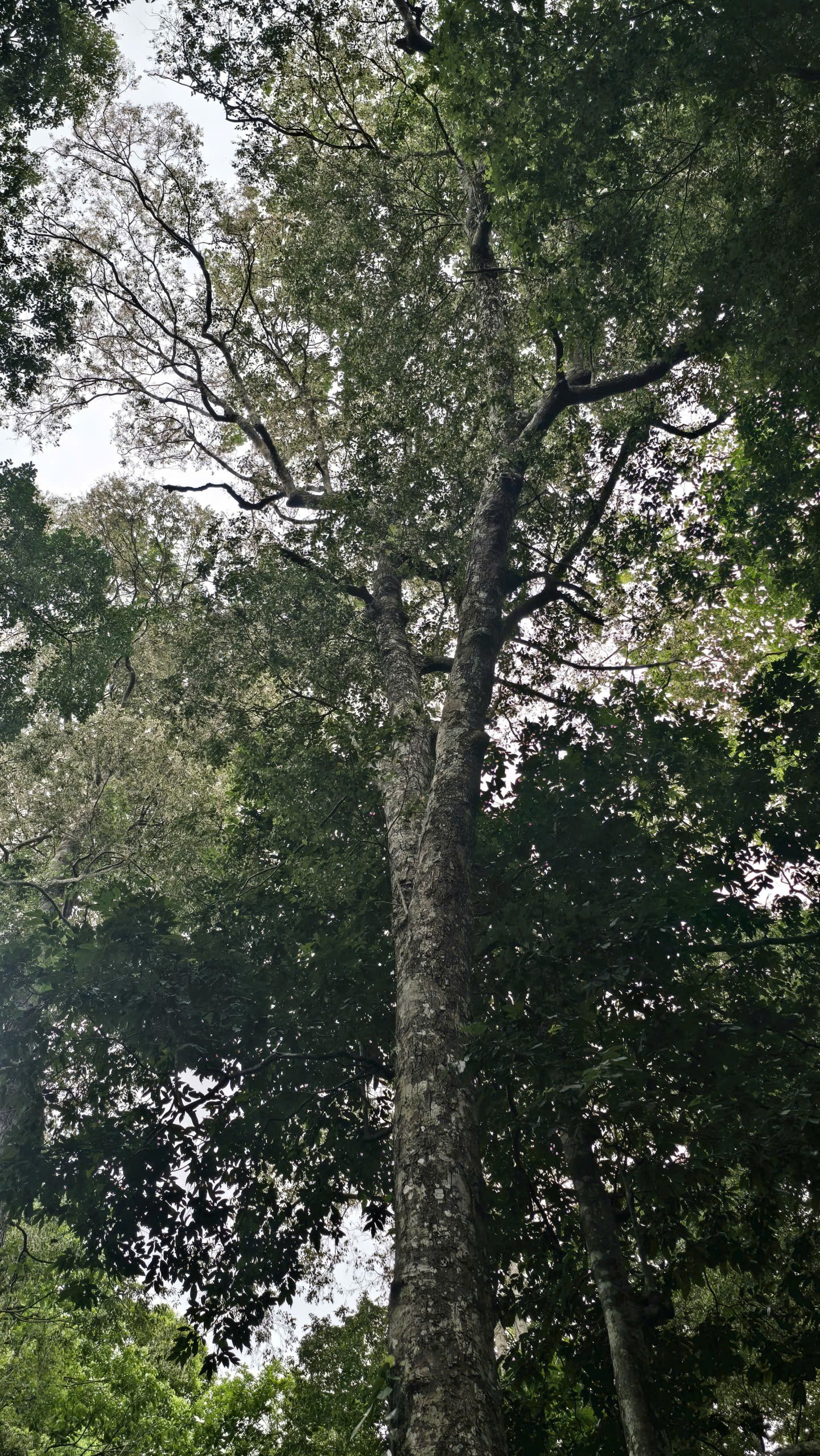 Banner Images