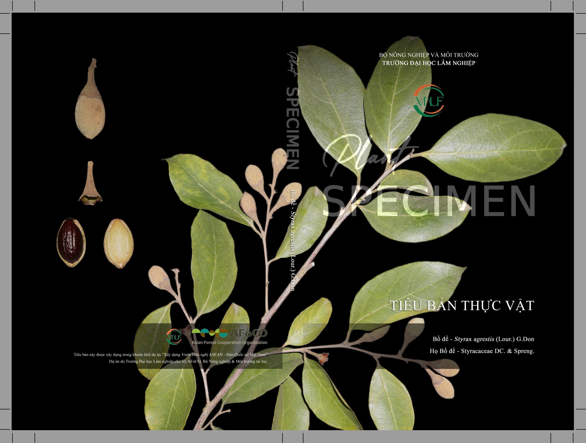 Banner Images