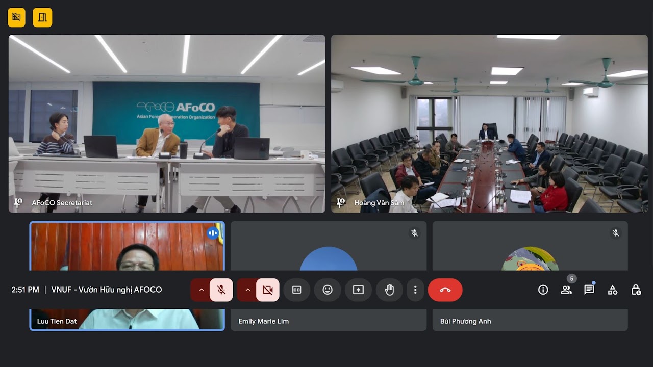 Kết luận cuộc họp