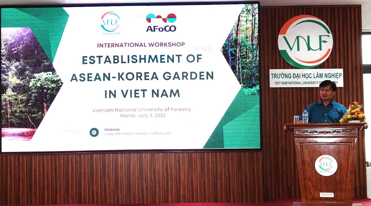 Chuyên gia thiết kế trình bày